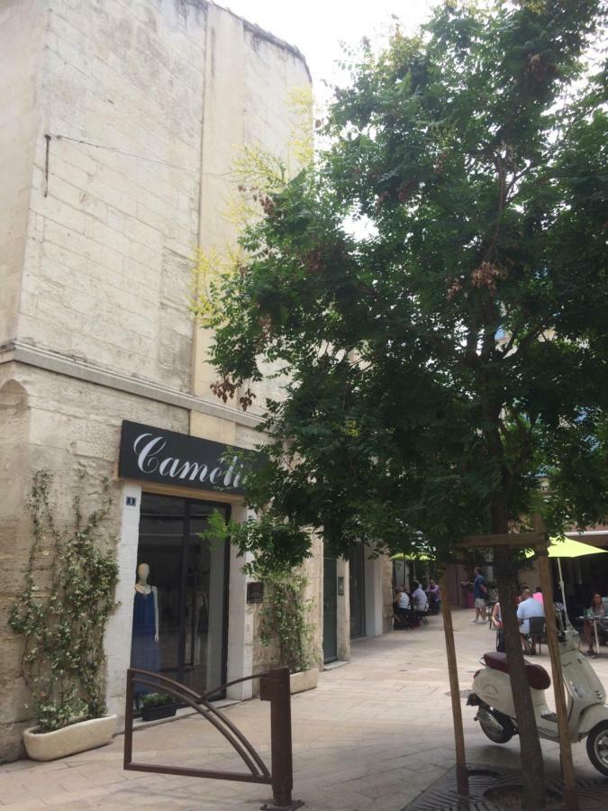 Nostradamus Apartment Saint-Remy-de-Provence Bagian luar foto